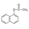 研究用細(xì)胞